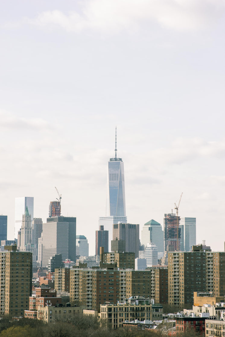 One World Trade