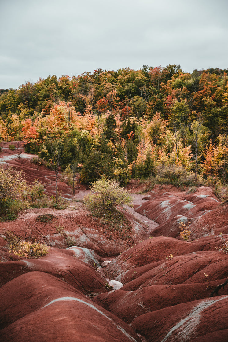 ontario-badlands-landscape.jpg?width=746