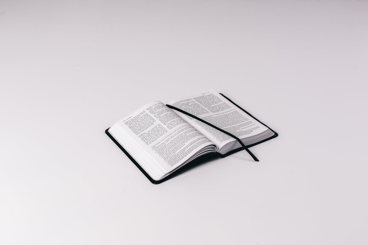 open bible on white background