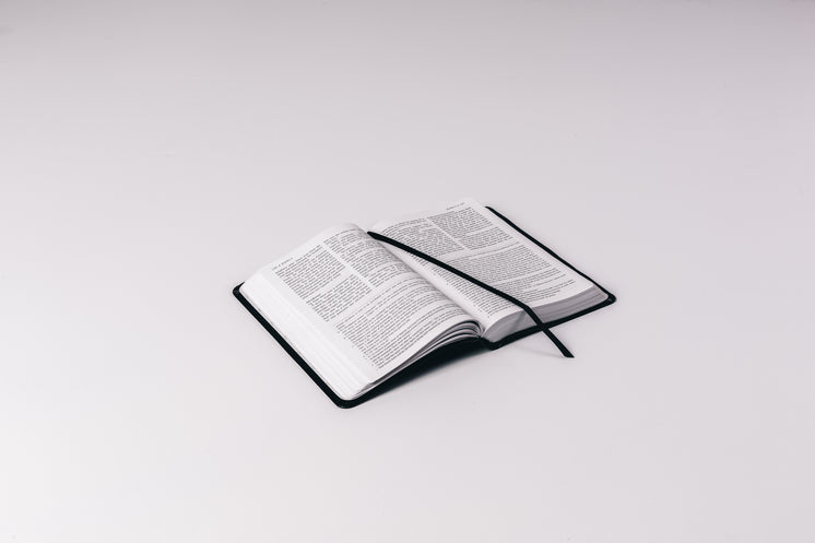 Open Bible On White Background