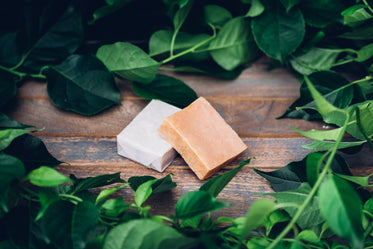 Free Open & Packaged Soap Photo — High Res Pictures