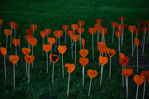 orange hearts planted in green grass with messages on them