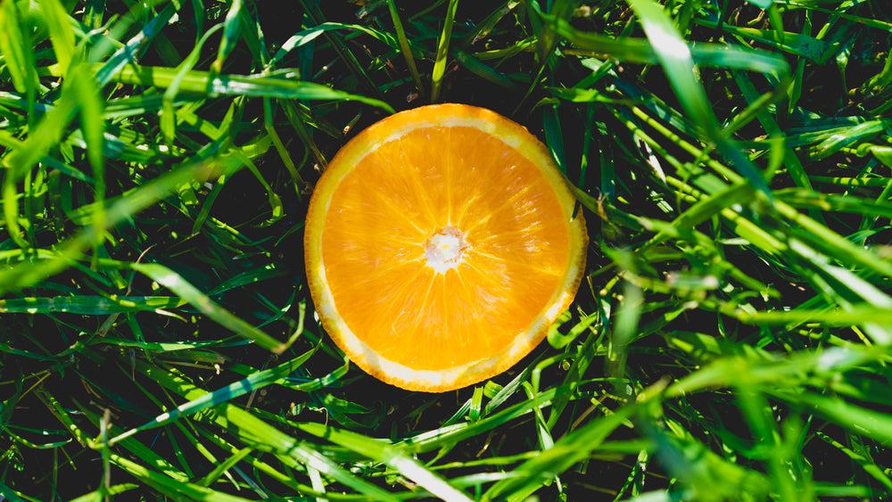orange in the grass