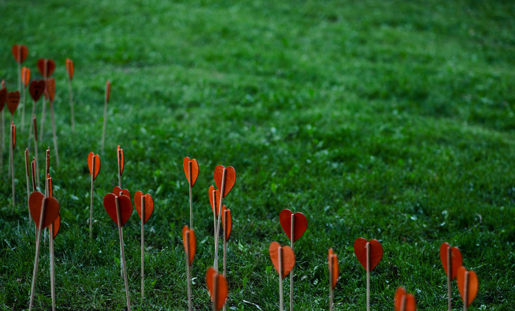 orange-paper-hearts-on-sticks-planted-in