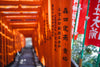 orange poles with japanese characters create a tunnel