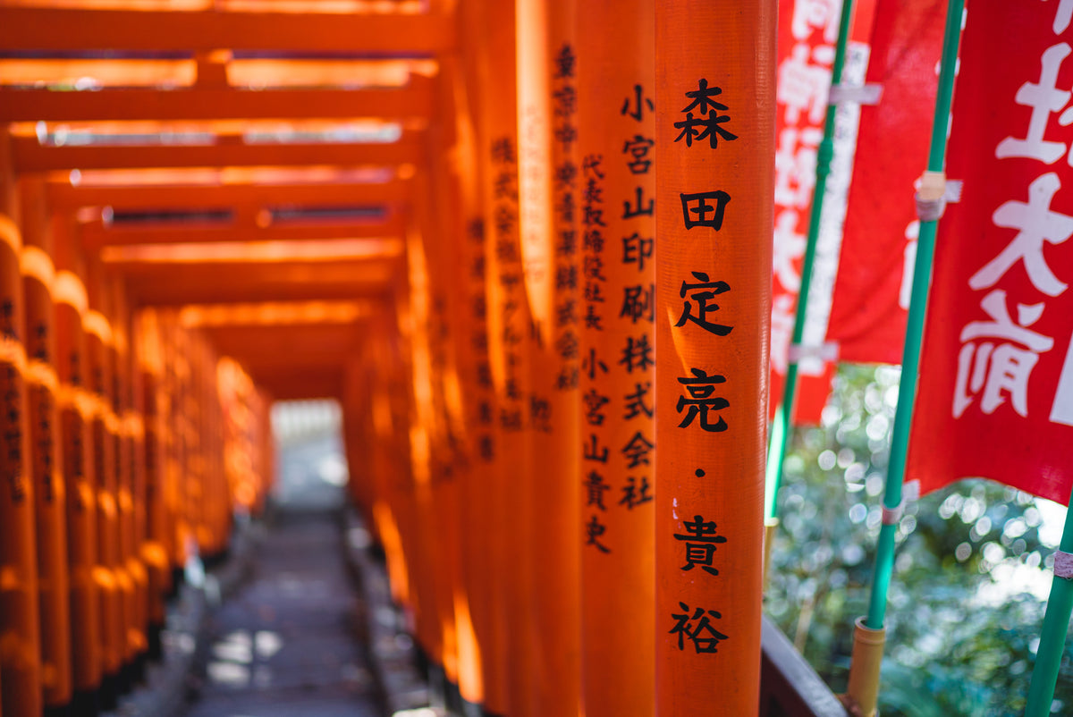 orange poles with japanese characters create a tunnel