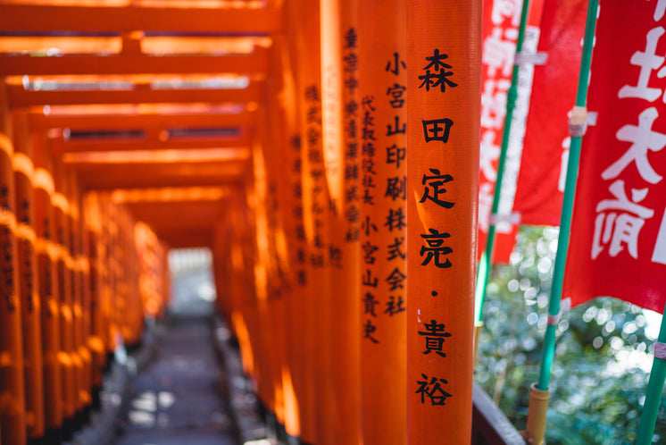 Orange Poles With Japanese Characters Create A Tunnel