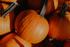 orange pumpkin pile close up