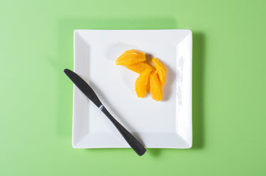 orange slices on plate from above