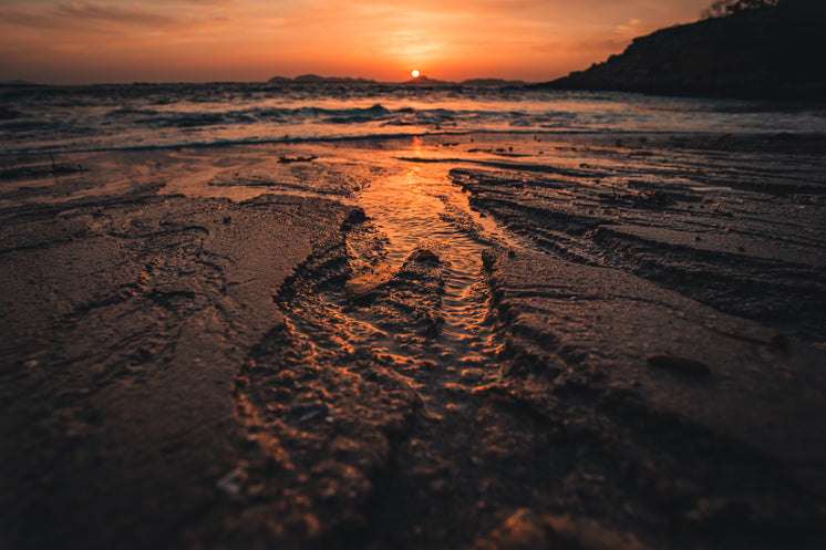 orange-tide-rolls-into-shore.jpg?width=746&format=pjpg&exif=0&iptc=0
