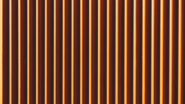 orange vertical lines