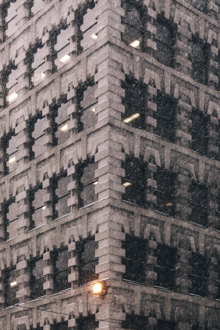 ornate-brick-building-in-blizzard.jpg?width=746&format=pjpg&exif=0&iptc=0