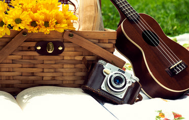 outdoor afteroon picnic in the park