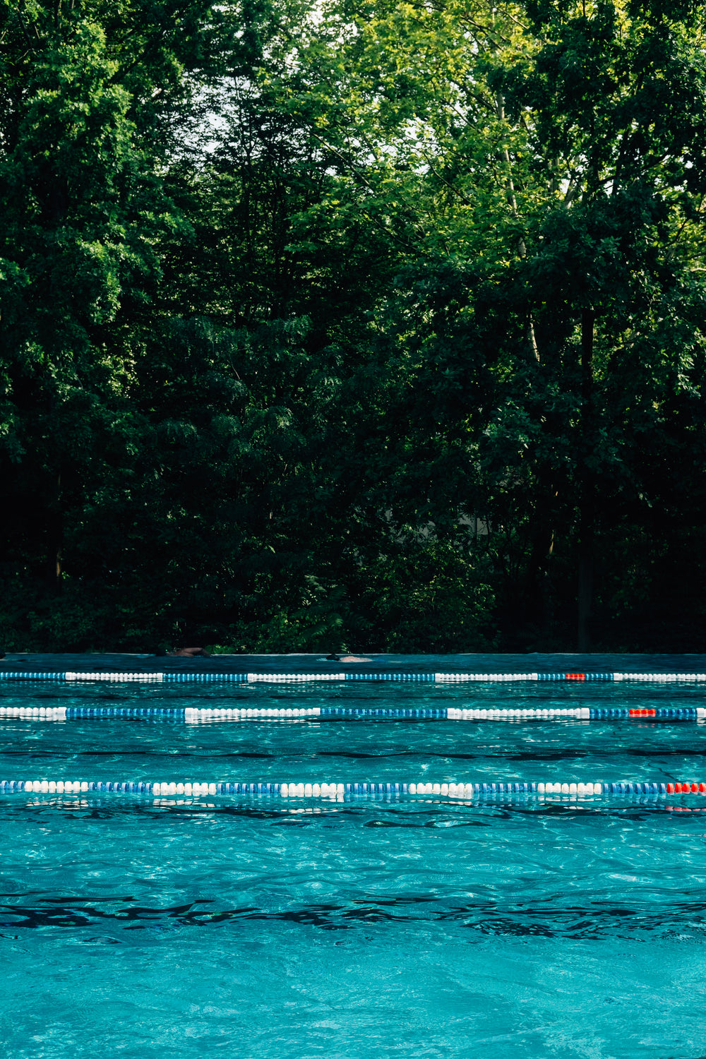 outdoor swimming pool with tall trees behind it