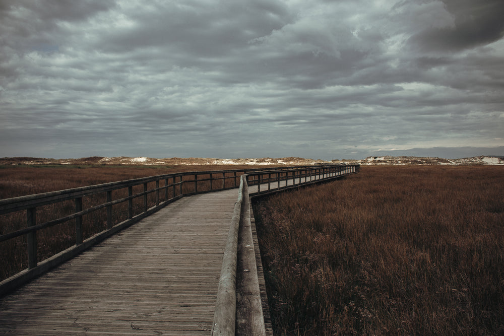 overcast sky over beach path