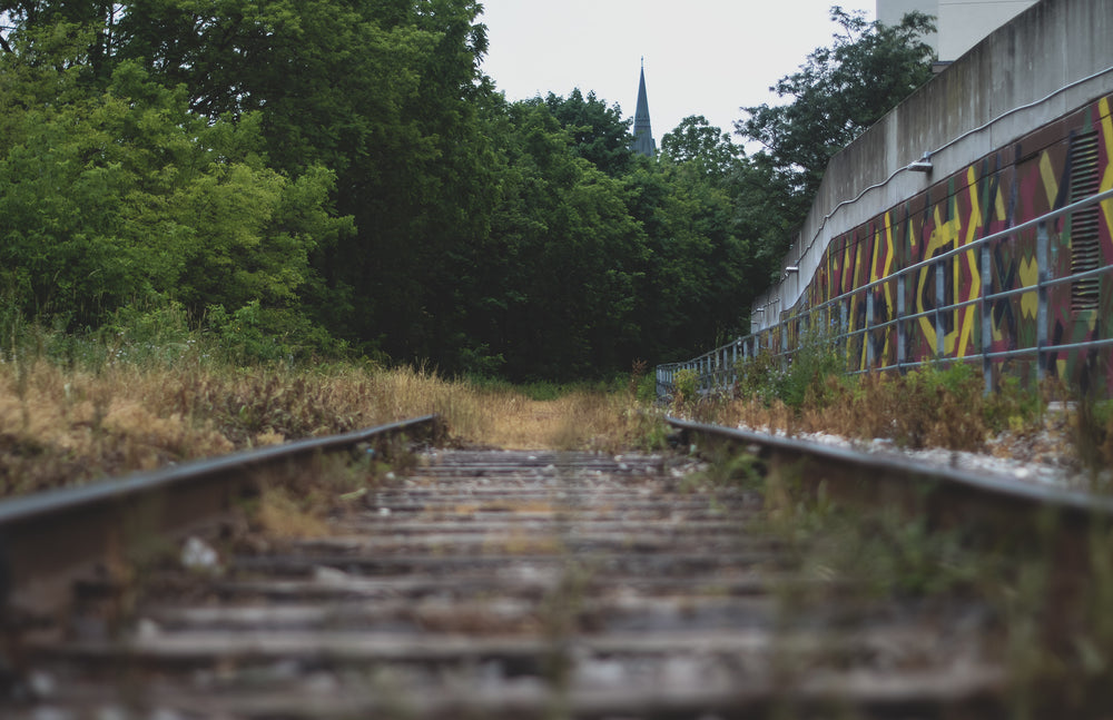 overgrown city train tracks