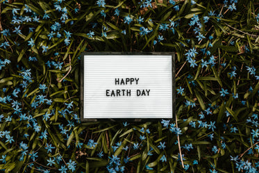 overhead of a sign that reads happy earth day