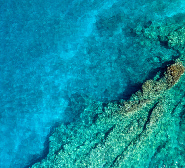 overhead view of pristine coral reef