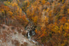 overhead view of waterfall in autumnal forest