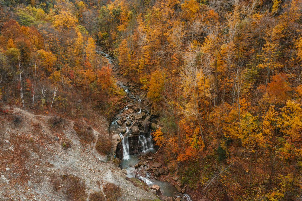 overhead view of waterfall in autumnal forest