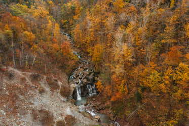 overhead view of waterfall in autumnal forest