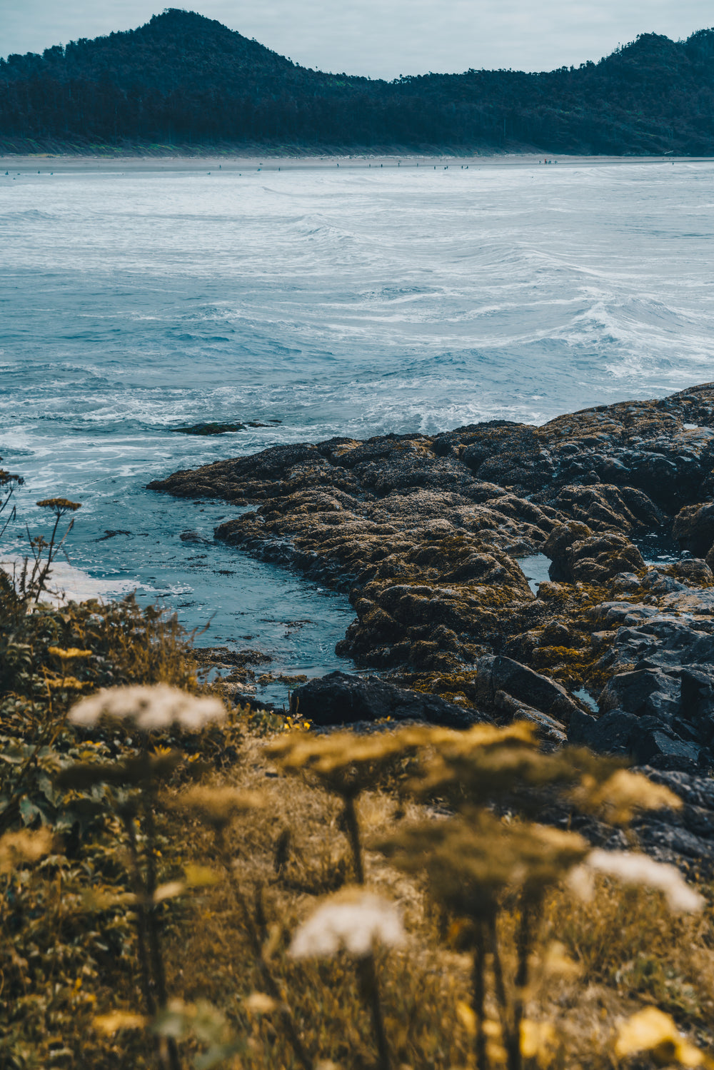 pacific ocean shoreline