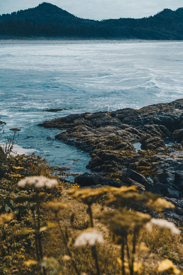 pacific ocean shoreline