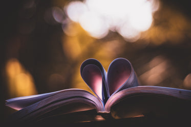 pages of a book curled into a heart shape