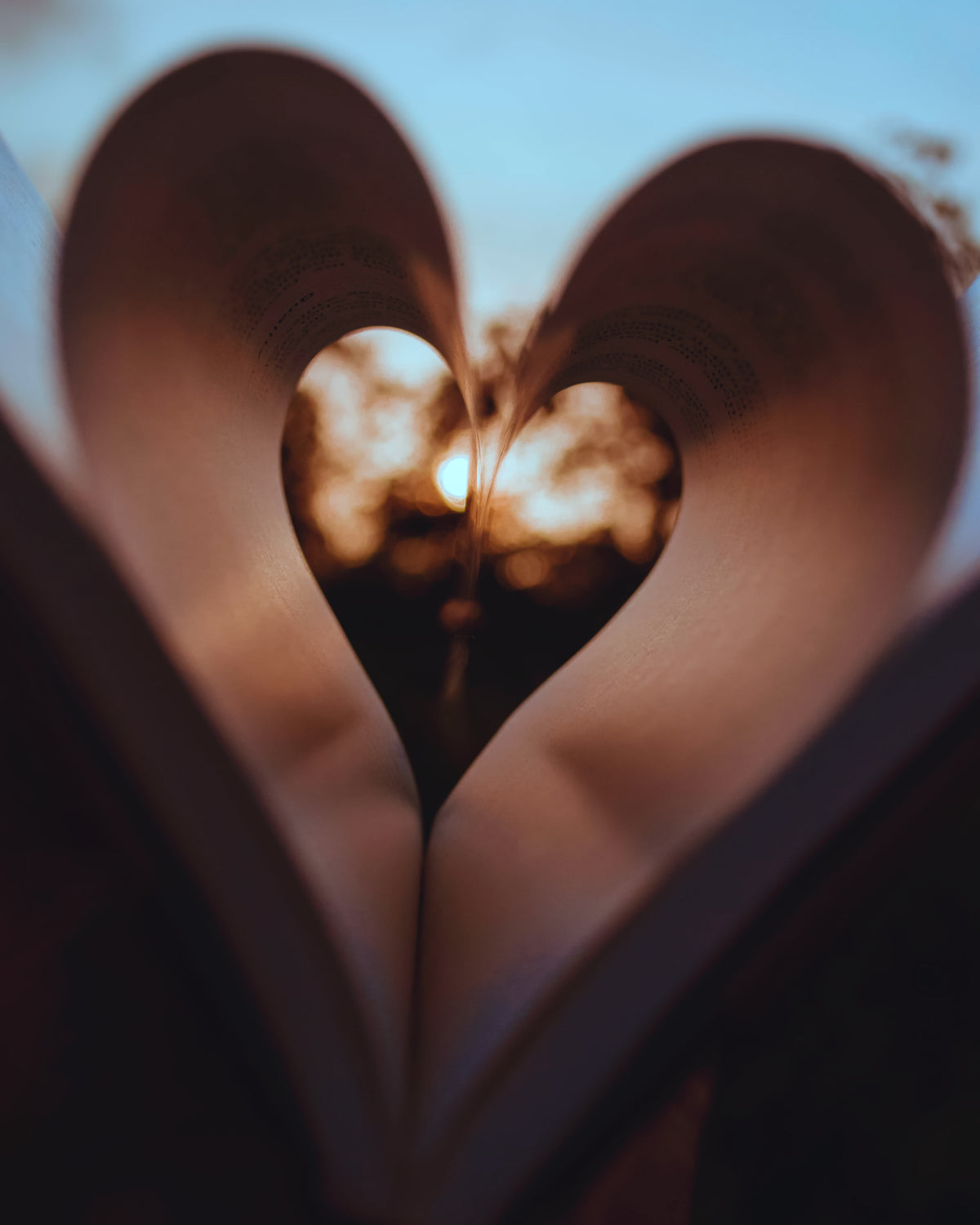 pages of a book curled inwards to create a heart