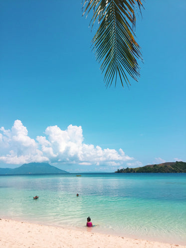 palm frond hangs over white sandy beach