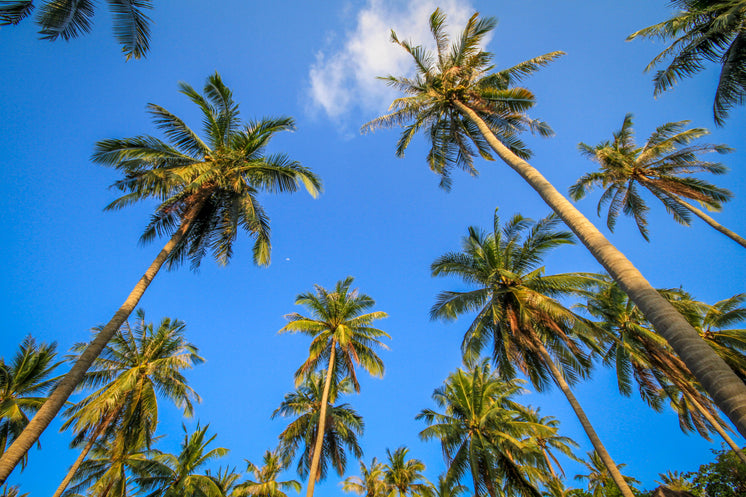 Bangkok To Australia Flights Cheap Discount