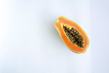 papaya fruit