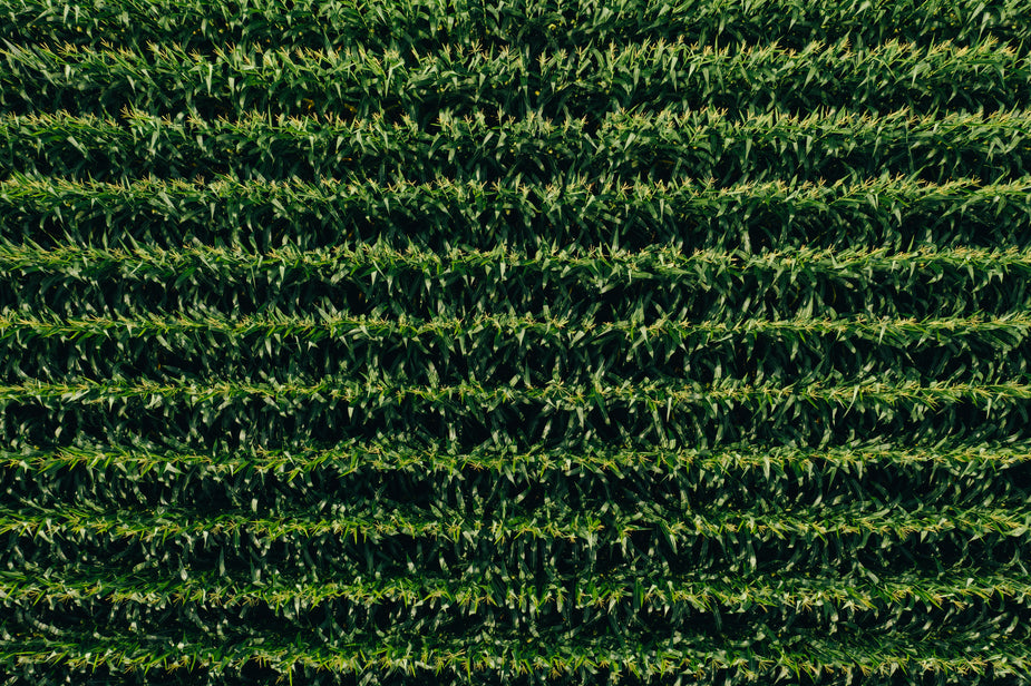High Res Parallel Green Lines Picture — Free Images