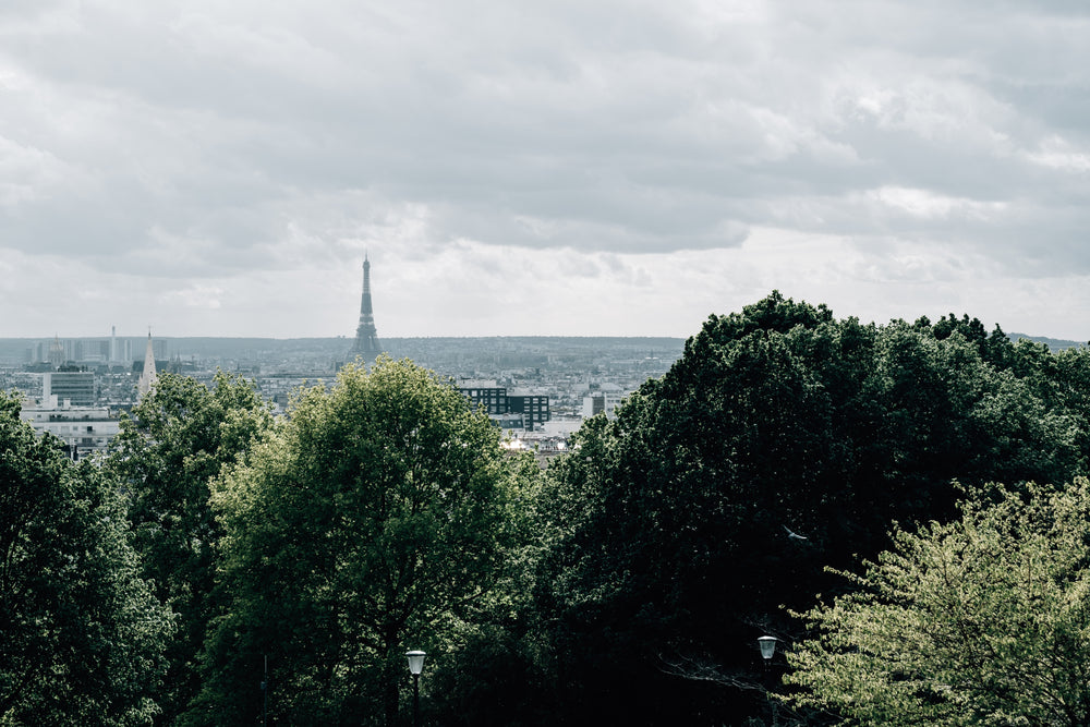 paris skyline with the eiffel tower on the horizon