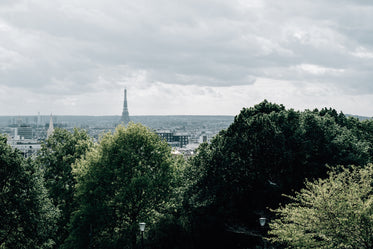 paris skyline with the eiffel tower on the horizon