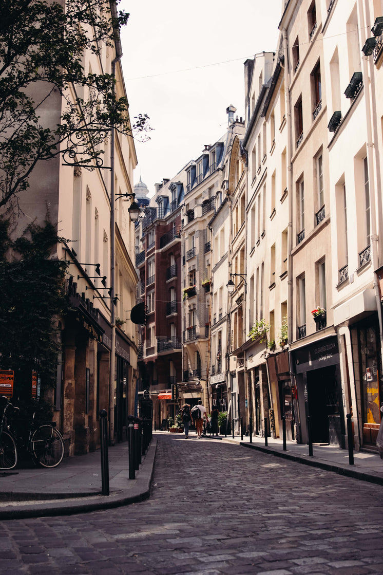 paris-streets.jpg?width=746&format=pjpg&exif=0&iptc=0