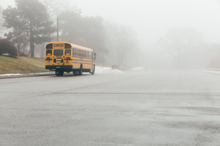 parked schoolbus in the fog