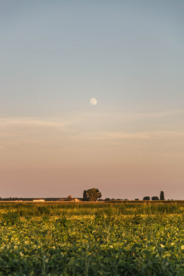 pastel moon