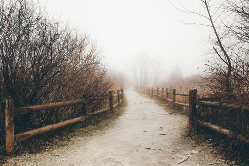 path on foggy day
