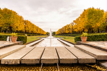 paved bridge over fountain and pond