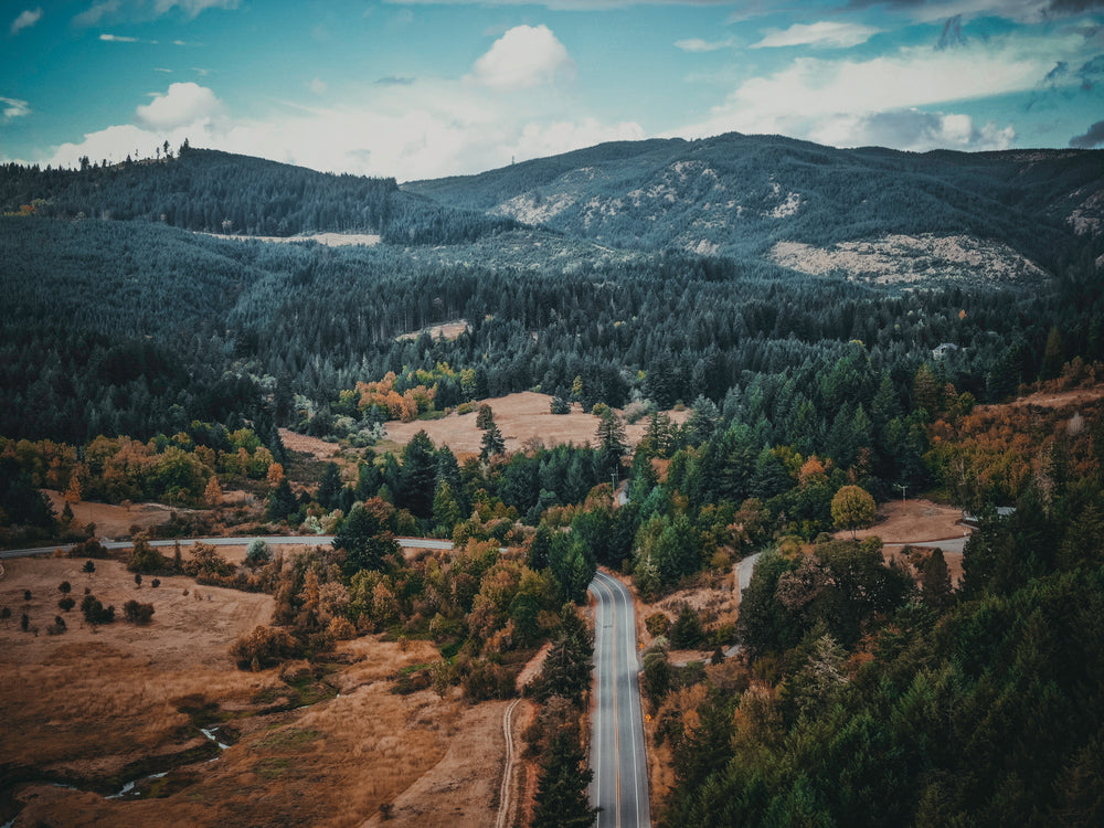 paved country road bends through a brown vally