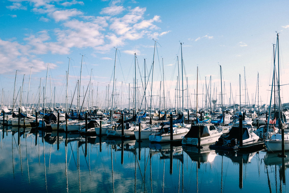 peaceful marina