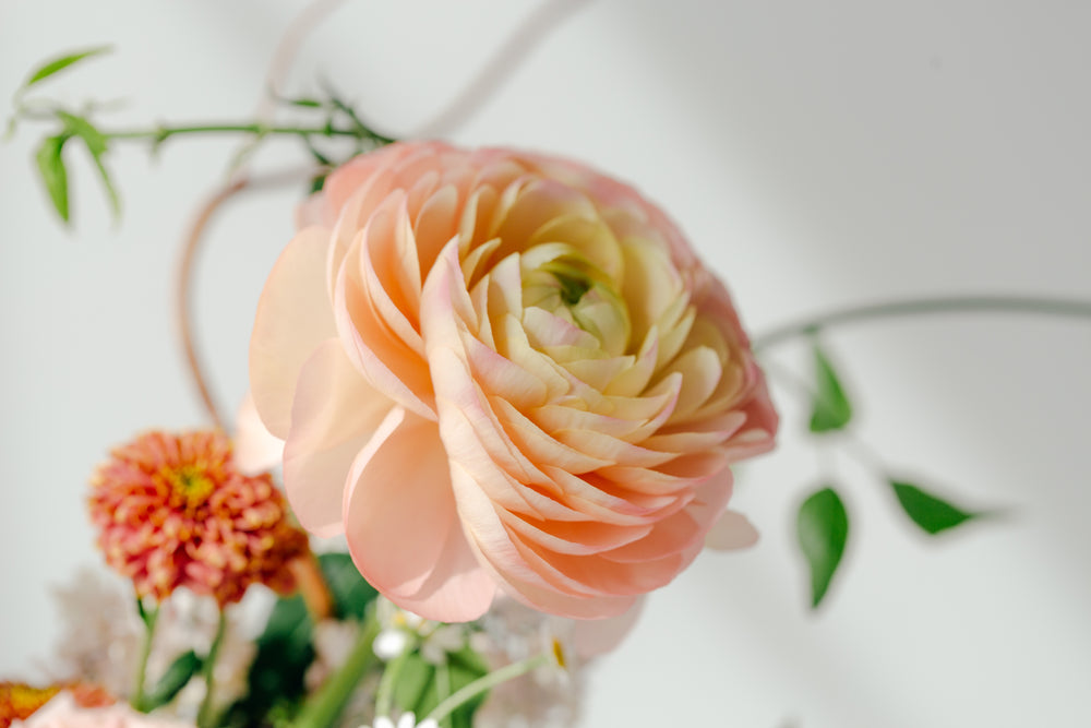 peach rose in bouquet