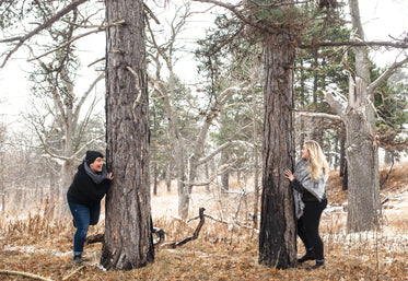 peek-a-boo! a couple play behind trees