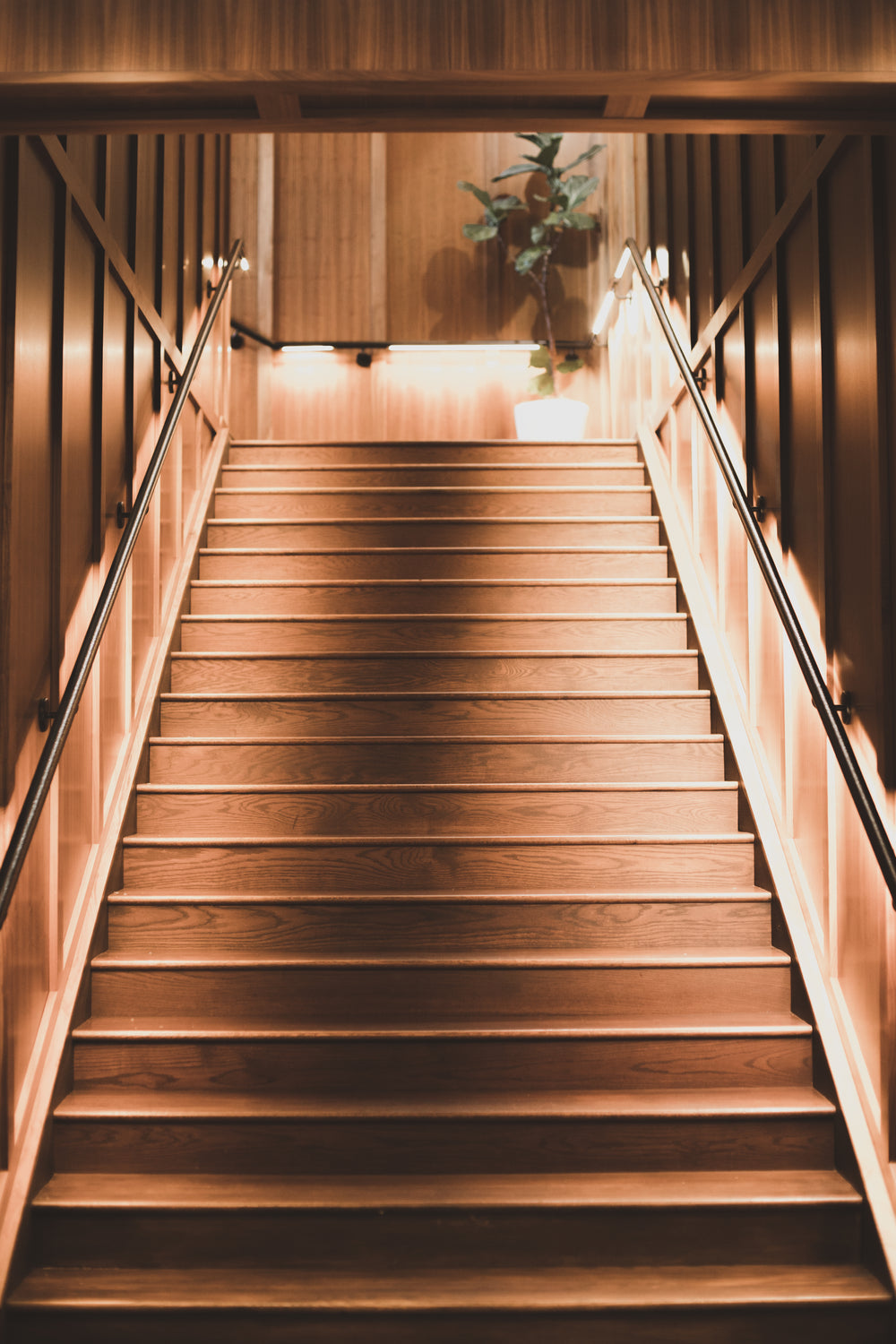 peering up a wooden staircase basked in light