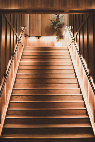 peering up a wooden staircase basked in light