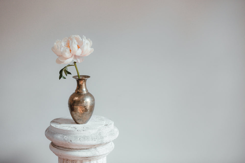 peony in the vase