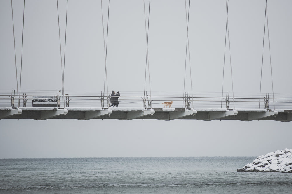 people and dog walk on snowy bridge
