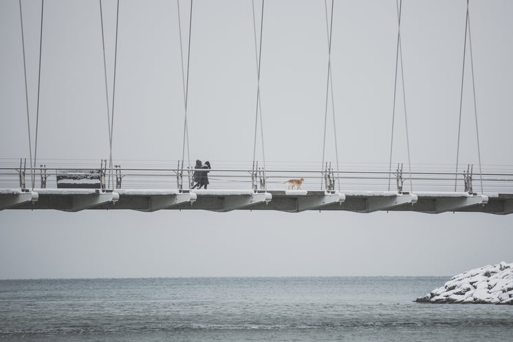 People And Dog Walk On Snowy Bridge