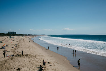 people enjoying a day at the beach in summer